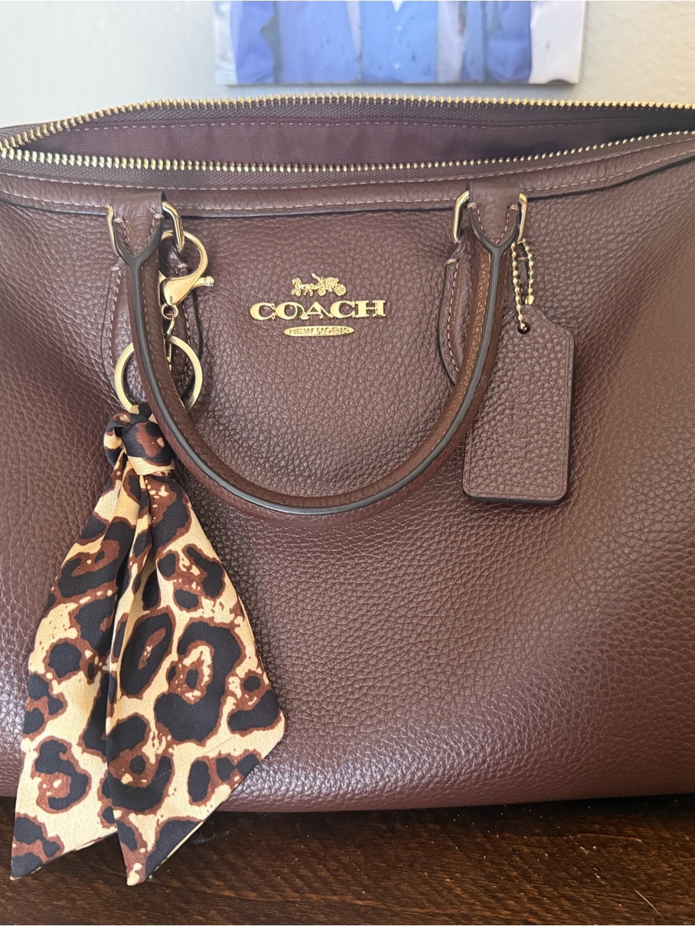 NWT Coach Rowan Large Satchel Bag